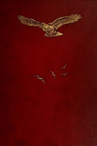 Birds of the wave and woodland cover