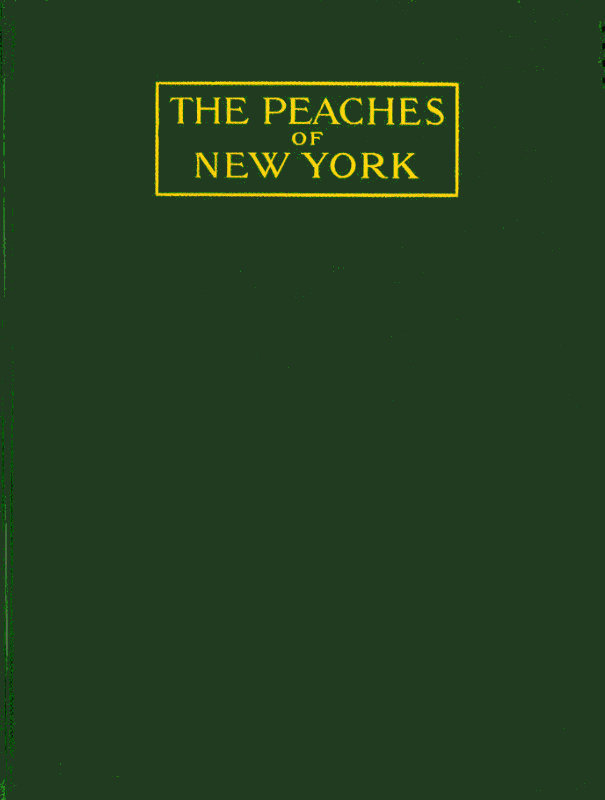 The peaches of New York cover