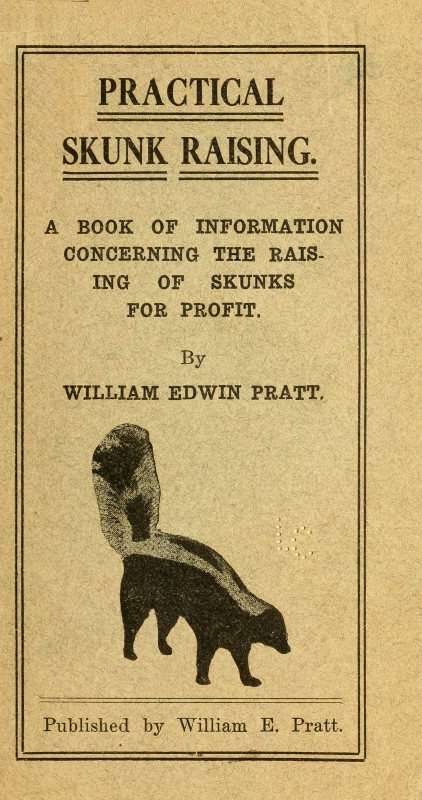 Practical Skunk Raising / A Book of Information Concerning the Raising of Skunks for Profit cover