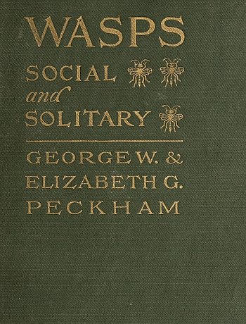 Wasps, Social and Solitary cover