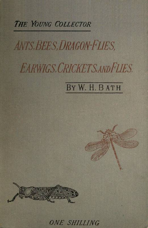The Young Collector's Handbook of Ants, Bees, Dragon-flies, Earwigs, Crickets, and Flies / (Hymenoptera, Neuroptera, Orthoptera, Hemiptera, Diptera). cover
