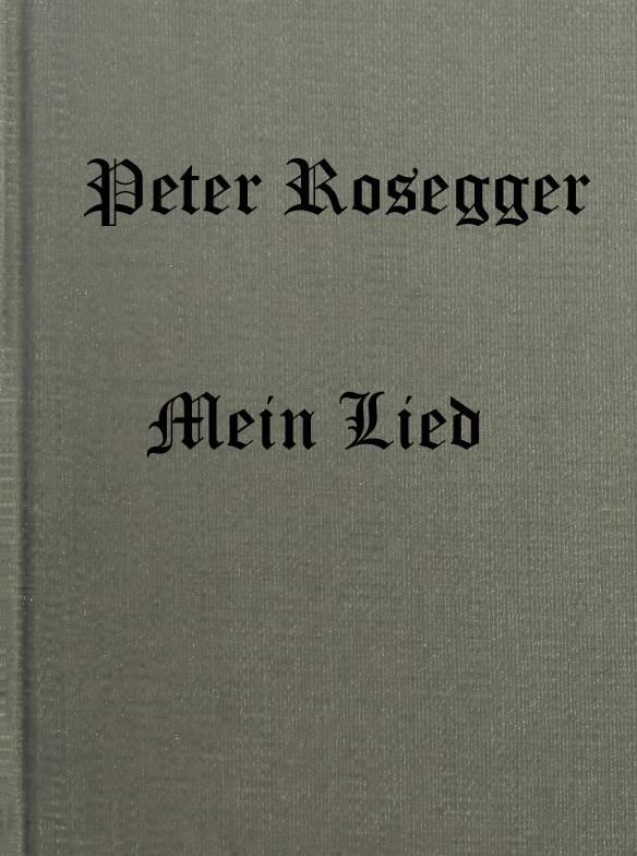 Mein Lied cover