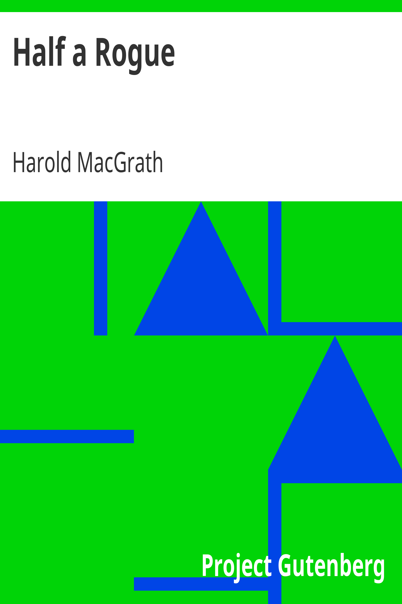 Half a Rogue cover