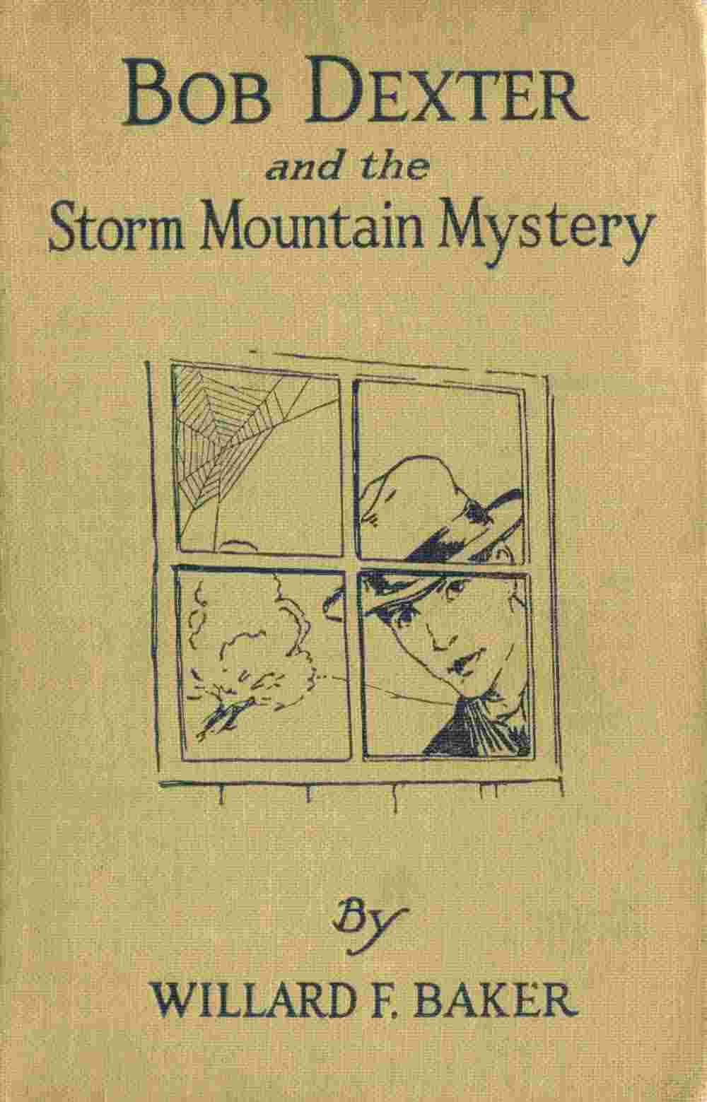 Bob Dexter and the Storm Mountain Mystery; or, The Secret of the Log Cabin cover