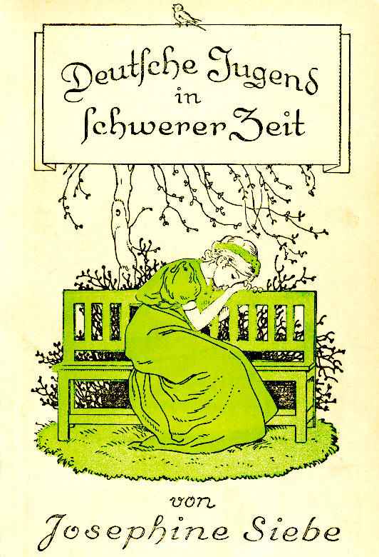 Deutsche Jugend in schwerer Zeit: Erzählung für die Jugend / Dritte Auflage cover