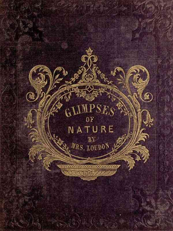 Glimpses of Nature, and Objects of Interest Described, During a Visit to the Isle of Wight / Designed to Assist and Encourage Young Persons in Forming Habits of Observation cover