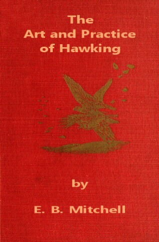 The Art and Practice of Hawking cover