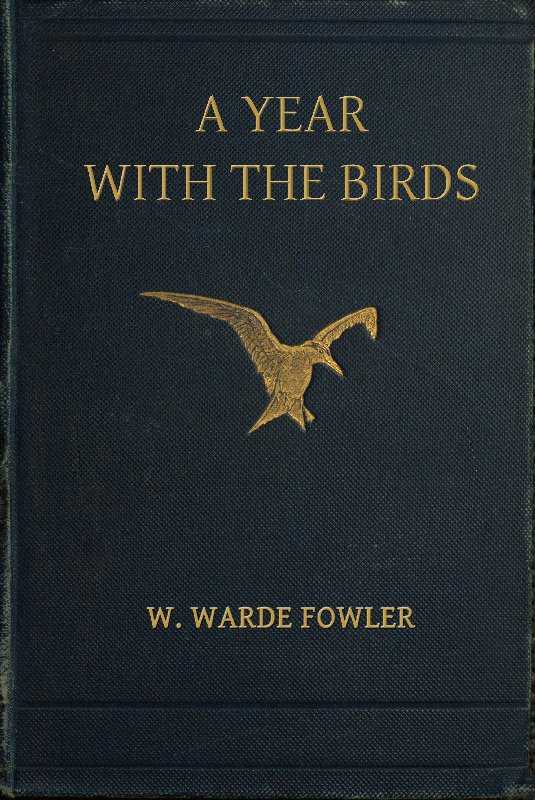A Year with the Birds / Third Edition, Enlarged cover