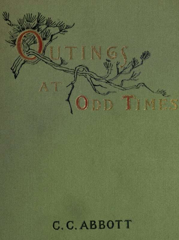 Outings at Odd Times cover