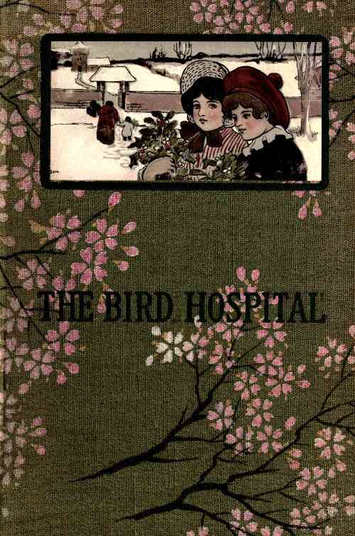 The Bird Hospital cover