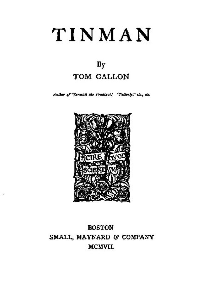 Tinman cover