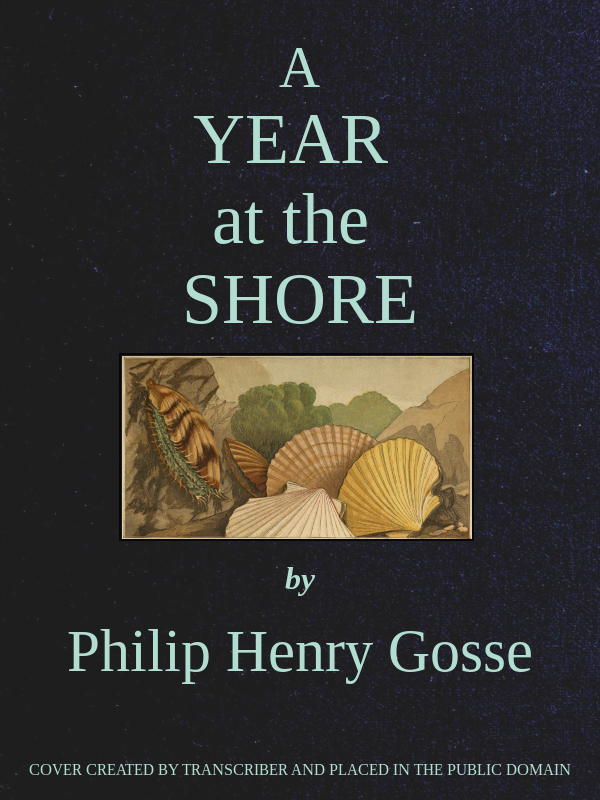 A Year at the Shore cover