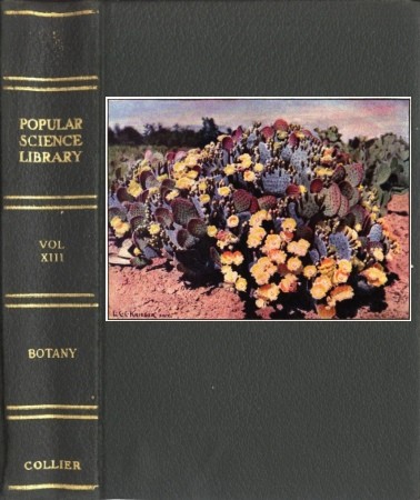 Botany: The Science of Plant Life cover