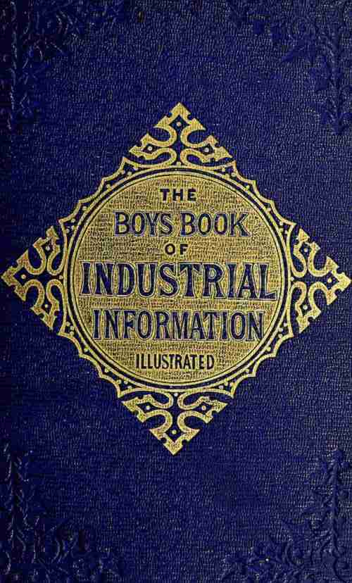 The Boy's Book of Industrial Information cover