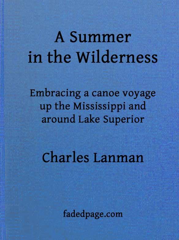A Summer in the Wilderness / embracing a canoe voyage up the Mississippi and around Lake Superior cover