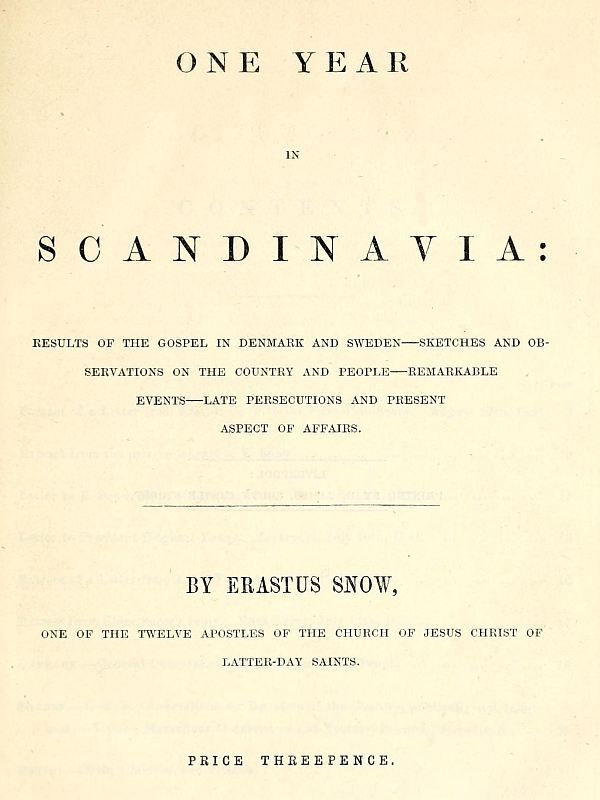 One year in Scandinavia cover