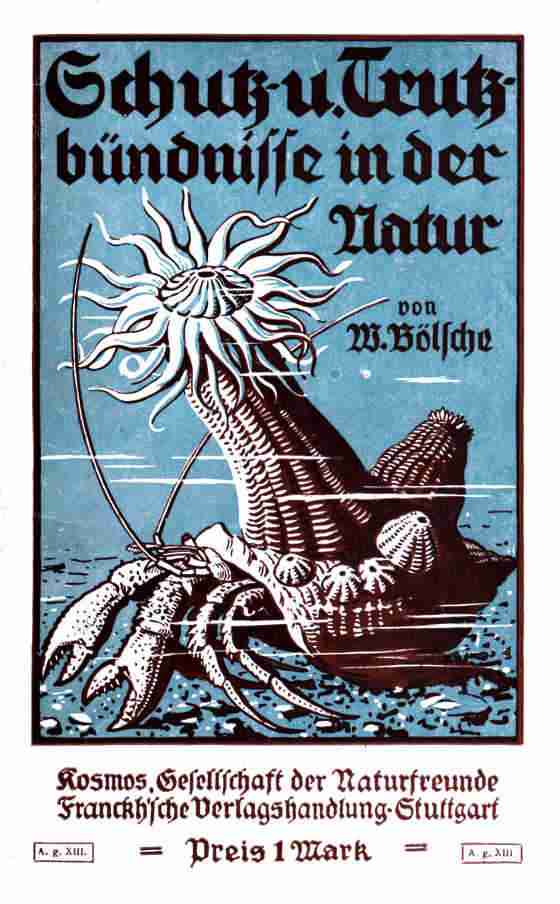 Schutz- und Trutzbündnisse in der Natur cover