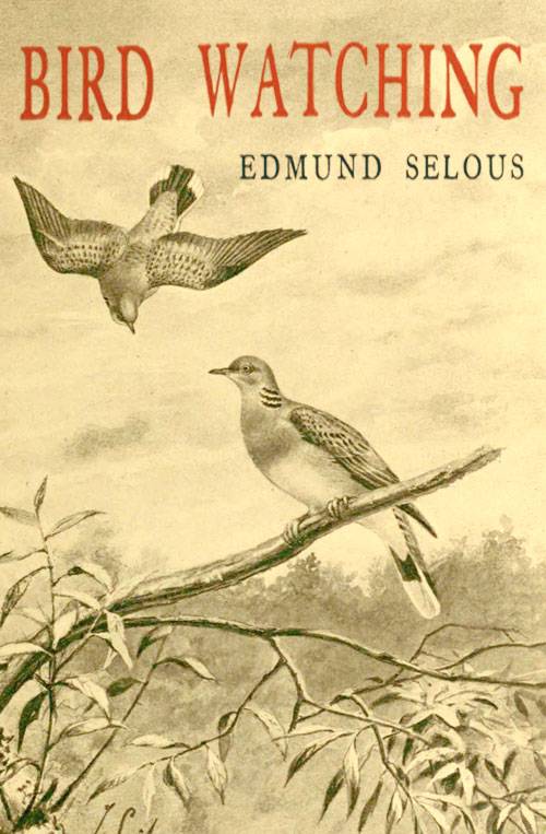 Bird Watching cover