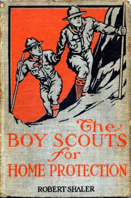 The Boy Scouts for Home Protection cover
