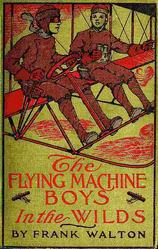 The Flying Machine Boys in the Wilds; Or, The Mystery of the Andes cover