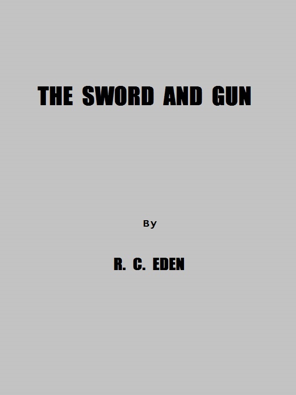 The Sword and Gun: A History of the 37th Wis. Volunteer Infantry cover
