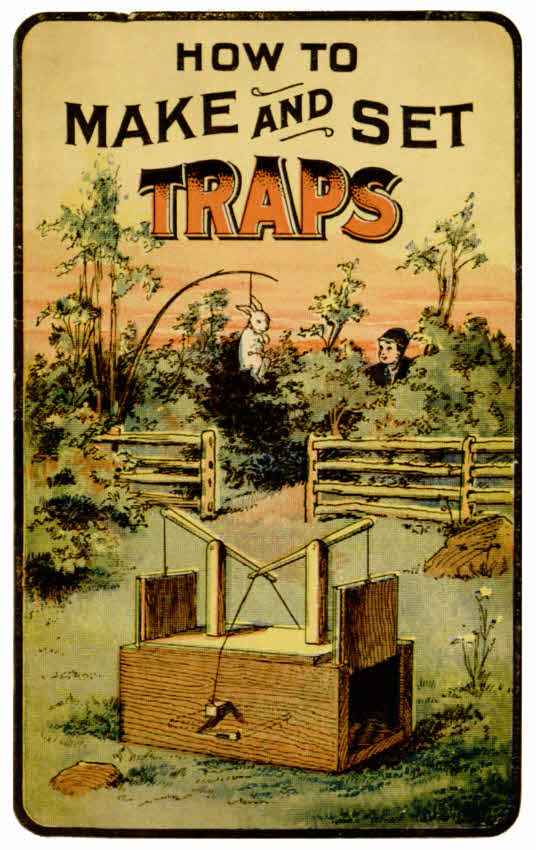 How to Make and Set Traps / Including Hints on How to Trap Moles, Weasels, Otter, Rats, Squirrels and Birds; Also How to Cure Skins cover