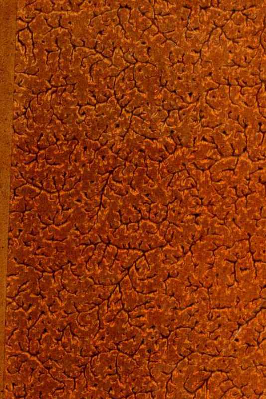 Louis XIV et Marie Mancini d'après de nouveaux documents cover