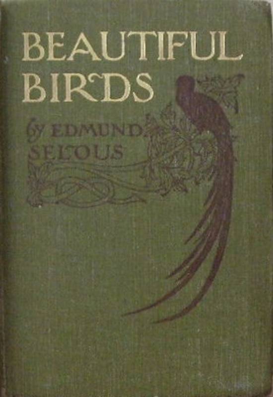 Beautiful Birds cover