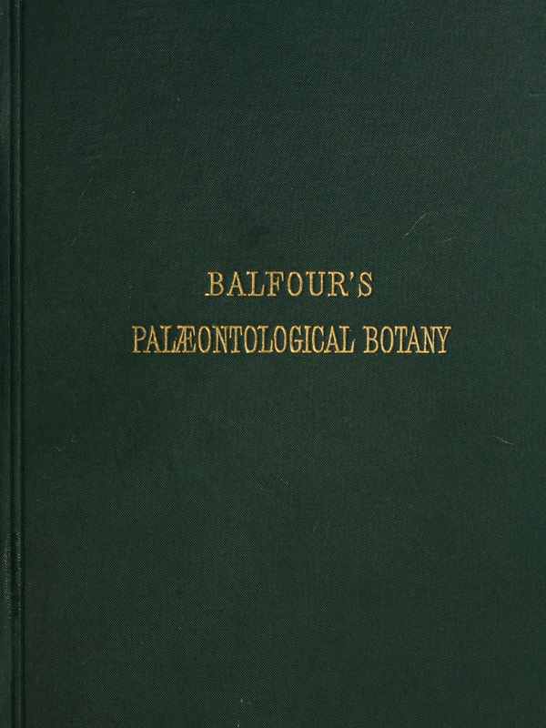 Introduction to the Study of Palæontological Botany cover
