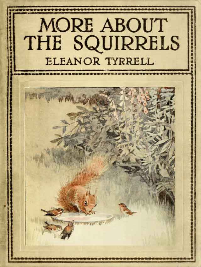 More About the Squirrels cover