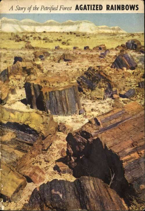 Agatized Rainbows: A Story of the Petrified Forest cover
