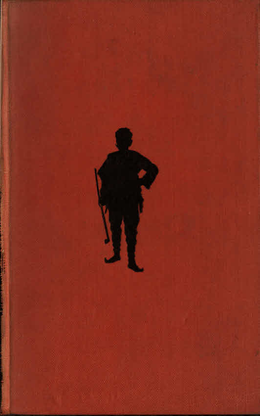The Campaign in Russian Poland cover