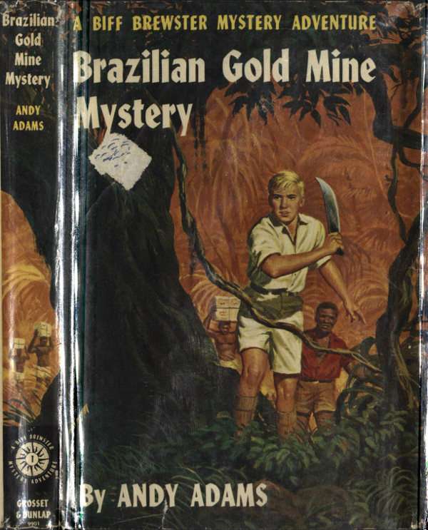 Brazilian Gold Mine Mystery cover