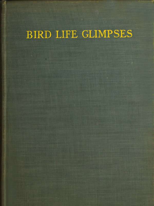 Bird Life Glimpses cover