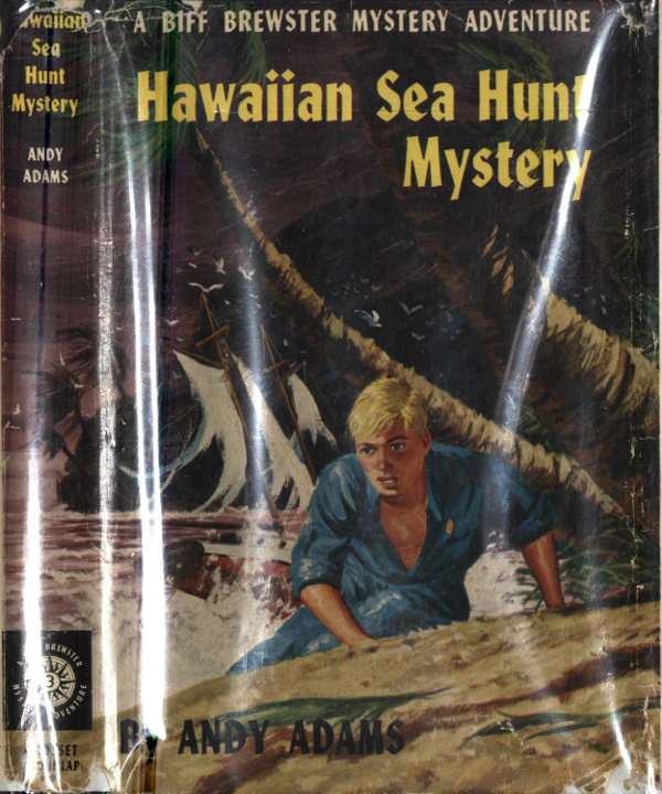 Hawaiian Sea Hunt Mystery cover