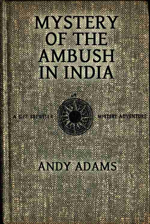 Mystery of the Ambush in India cover