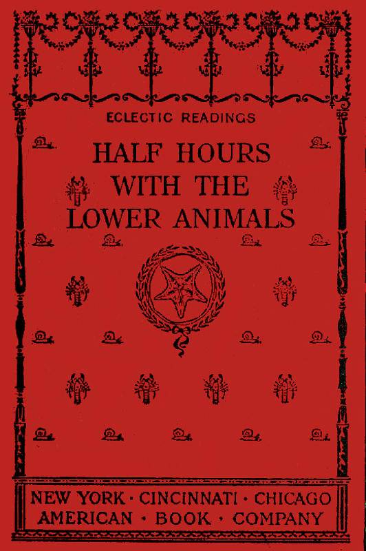 Half hours with the lower animals cover