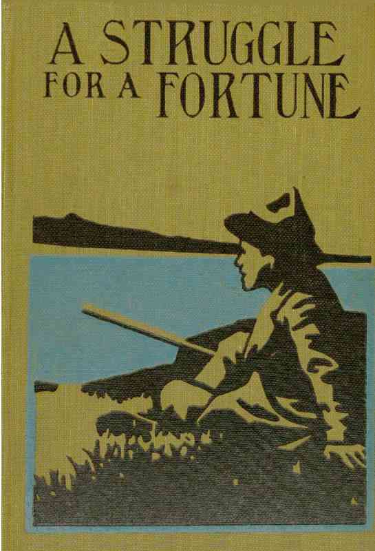 A Struggle for a Fortune cover