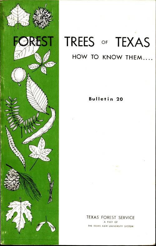 Forest Trees of Texas: How to Know Them cover