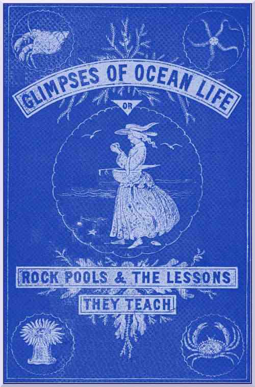 Glimpses of Ocean Life; Or, Rock-Pools and the Lessons they Teach cover