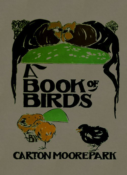 A Book of Birds cover