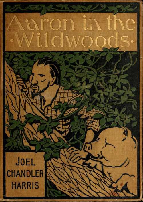 Aaron in the Wildwoods cover