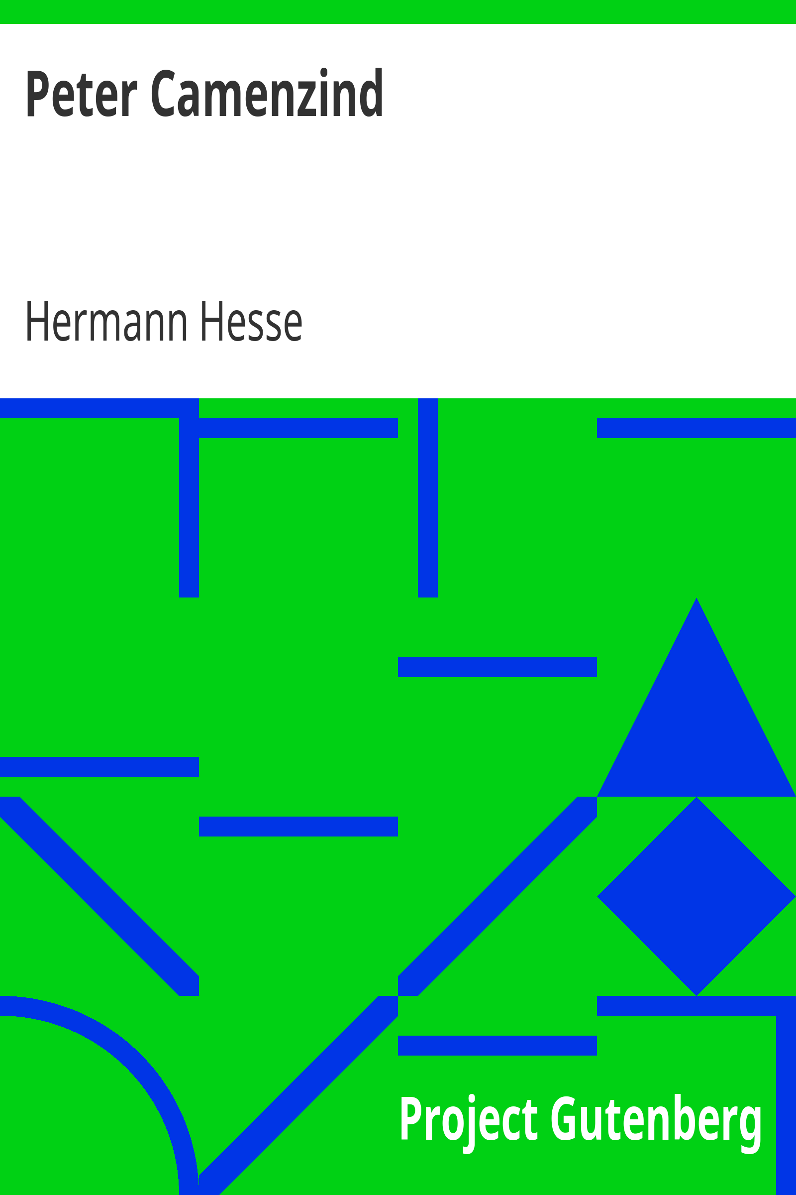 Peter Camenzind cover