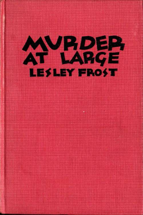 Murder at Large cover