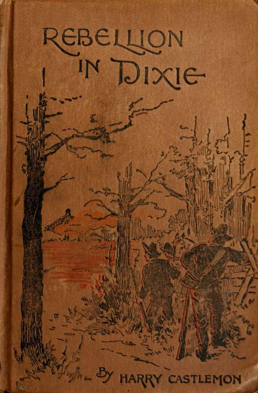 A Rebellion in Dixie cover