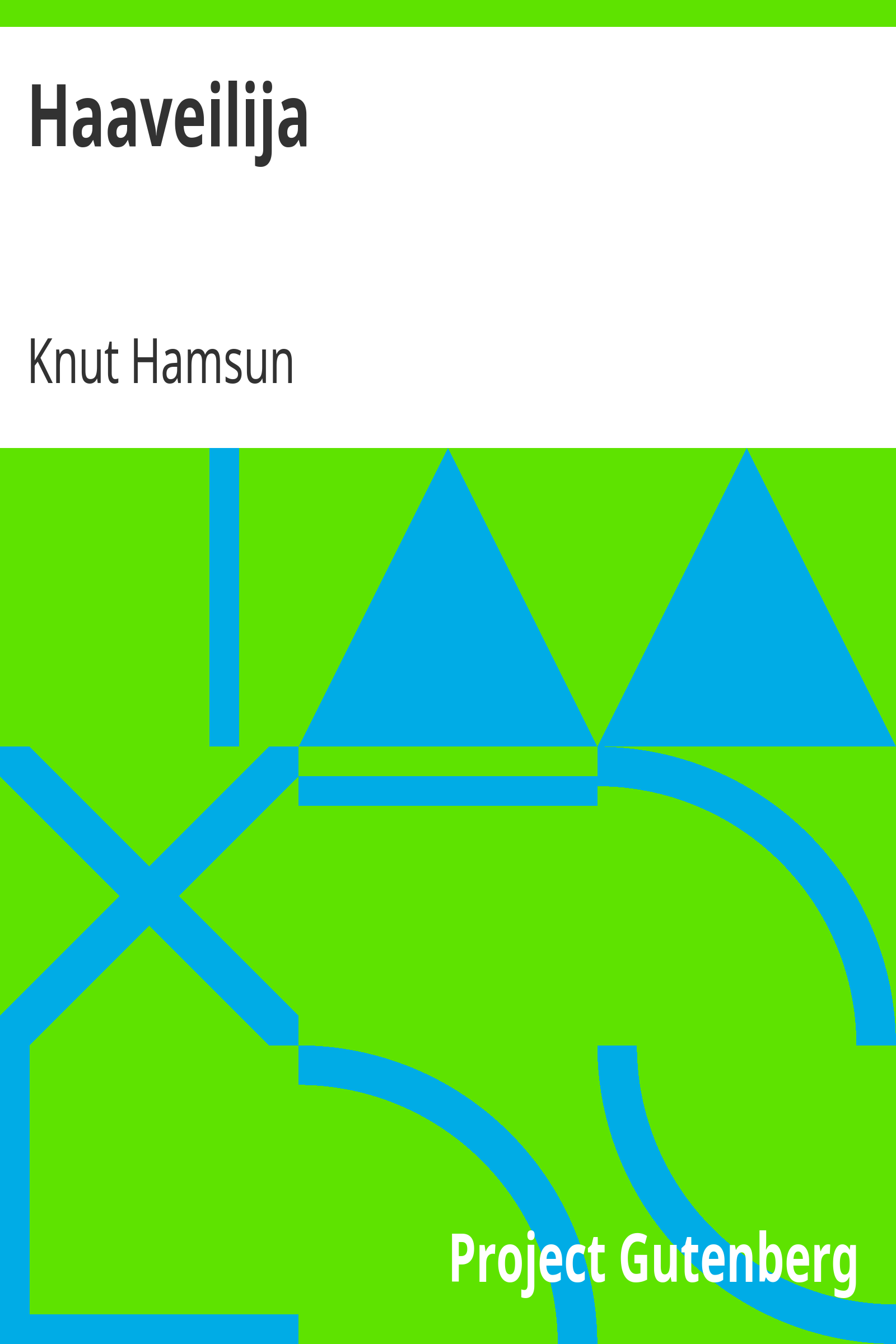 Haaveilija cover