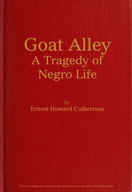Goat Alley: A Tragedy of Negro Life cover