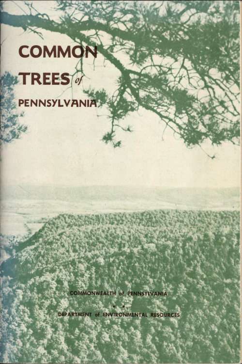 Common trees of Pennsylvania cover