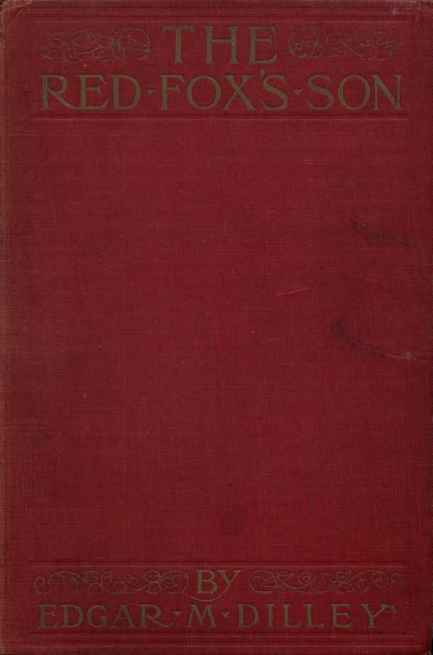 The Red Fox's Son: A Romance of Bharbazonia cover