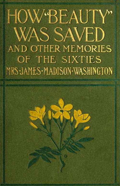 How Beauty Was Saved, and Other Memories of the Sixties cover